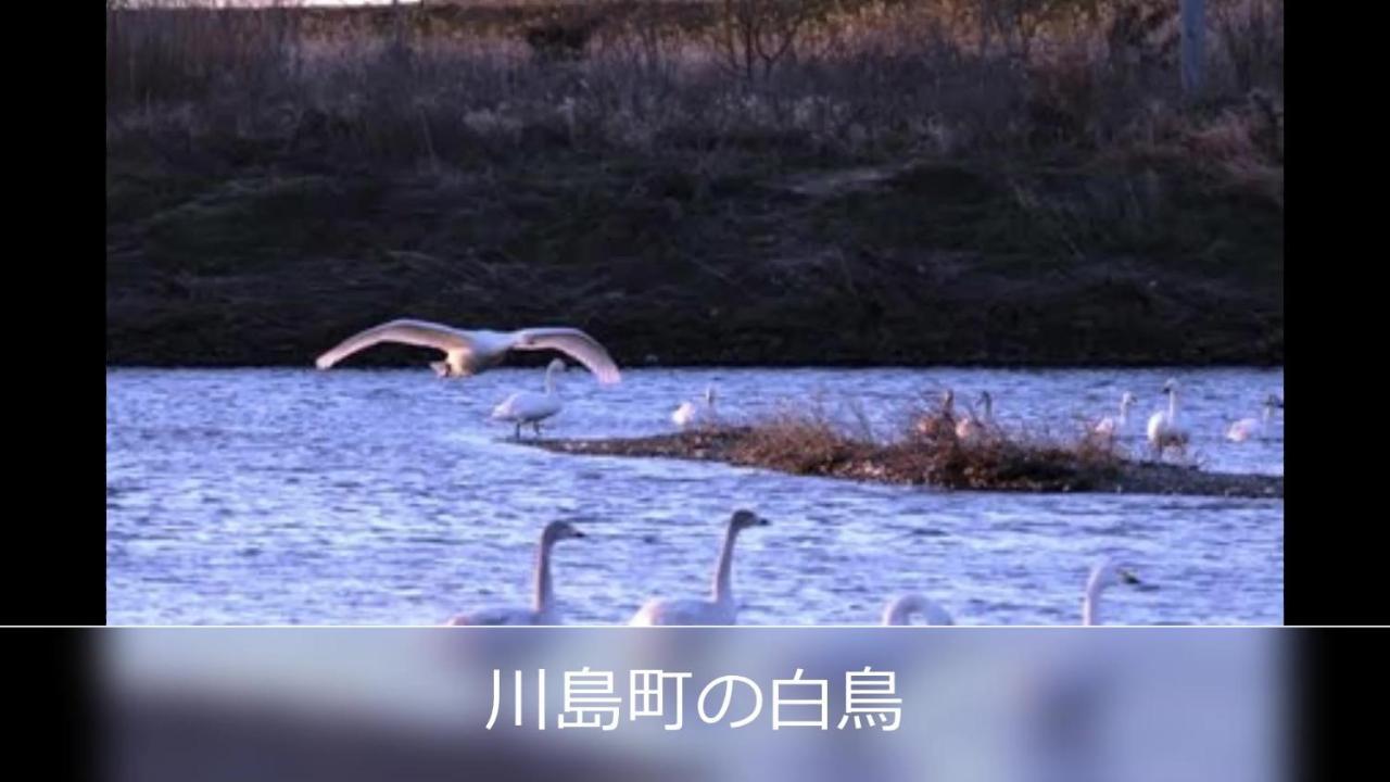 Le Ciel Spa & Resort (Adults Only) Tsurugashima Bagian luar foto